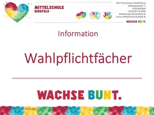Informationsblatt Wahlpflichtfach – Foto 1