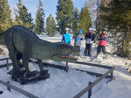 Wintersportwoche – Foto 13