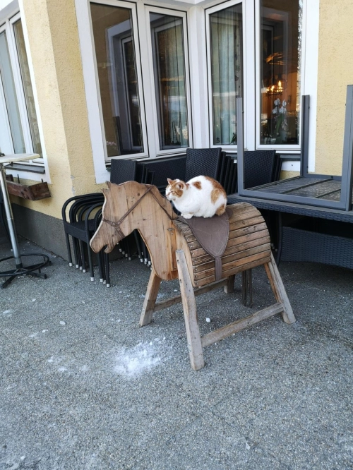Wintersportwoche – Foto 23